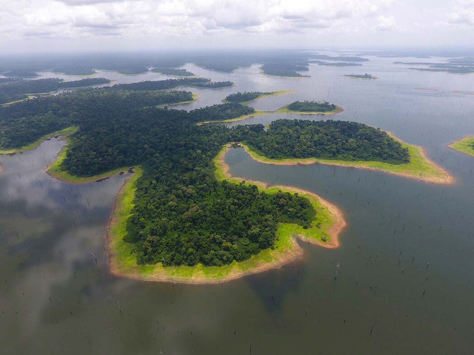 LE PARC NATIONAL DE TAÏ